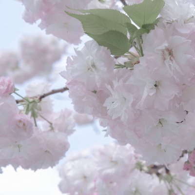 锡山福瑞交流群